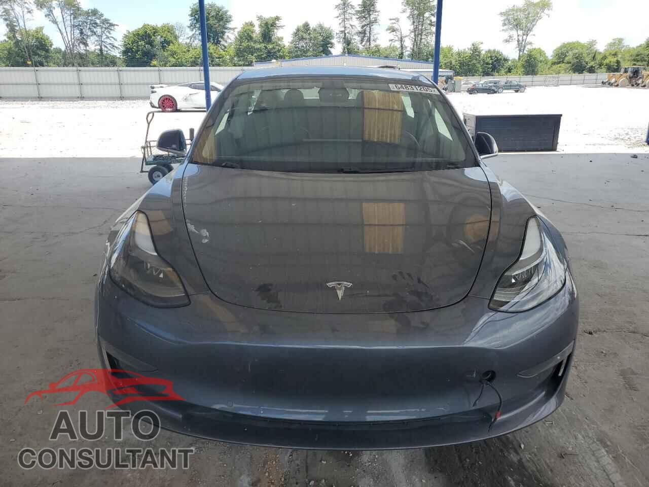 TESLA MODEL 3 2019 - 5YJ3E1EB4KF209986