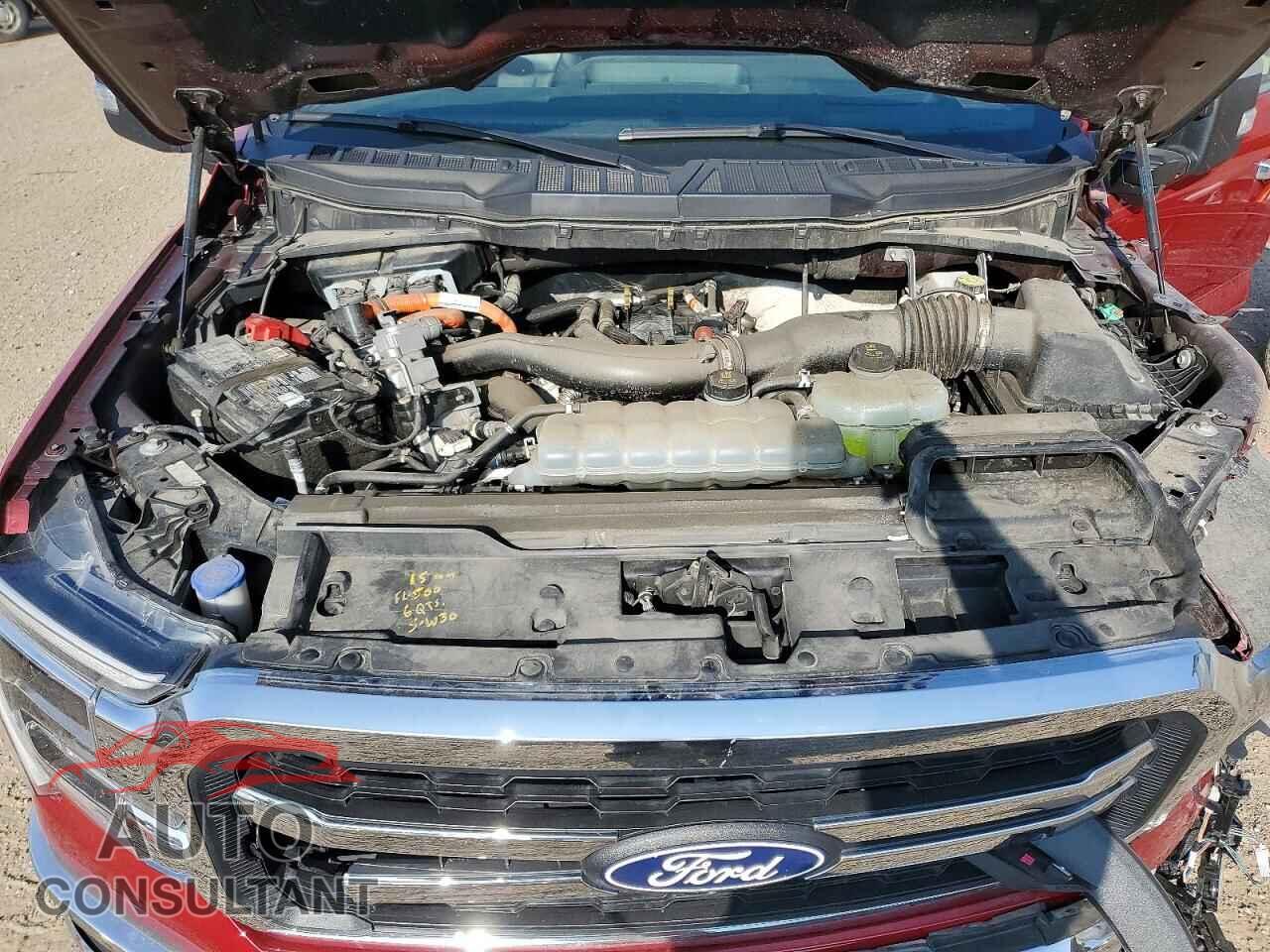 FORD UNKNOWN 2025 - 1FTFW5LD1SFA51348