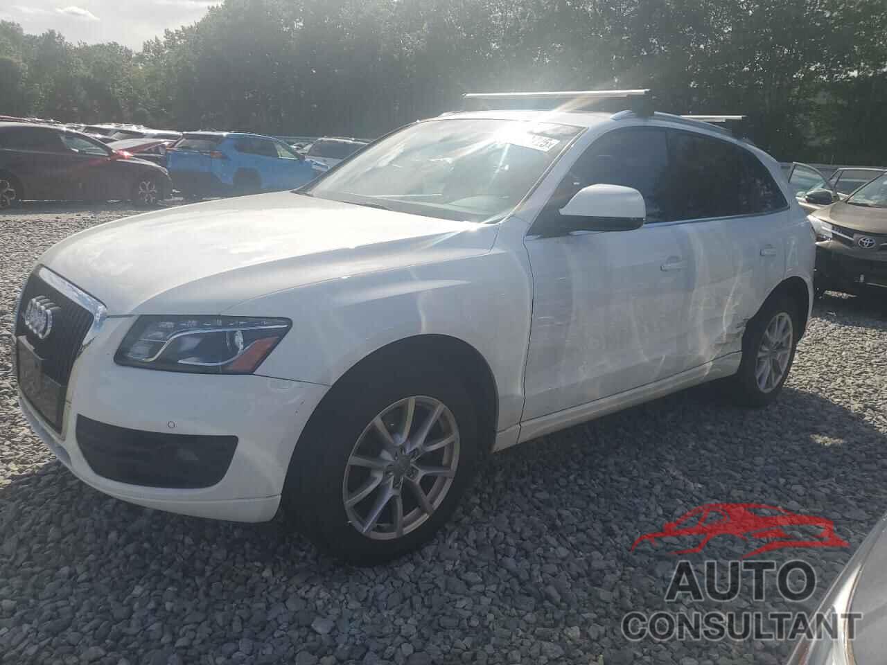 AUDI Q5 2010 - WA1LKAFP3AA029919