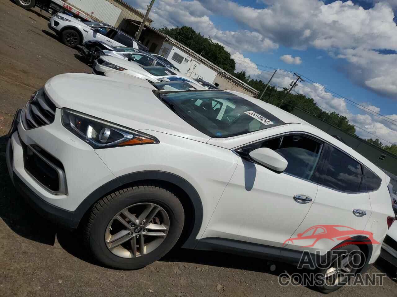 HYUNDAI SANTA FE 2017 - 5NMZTDLBXHH010274