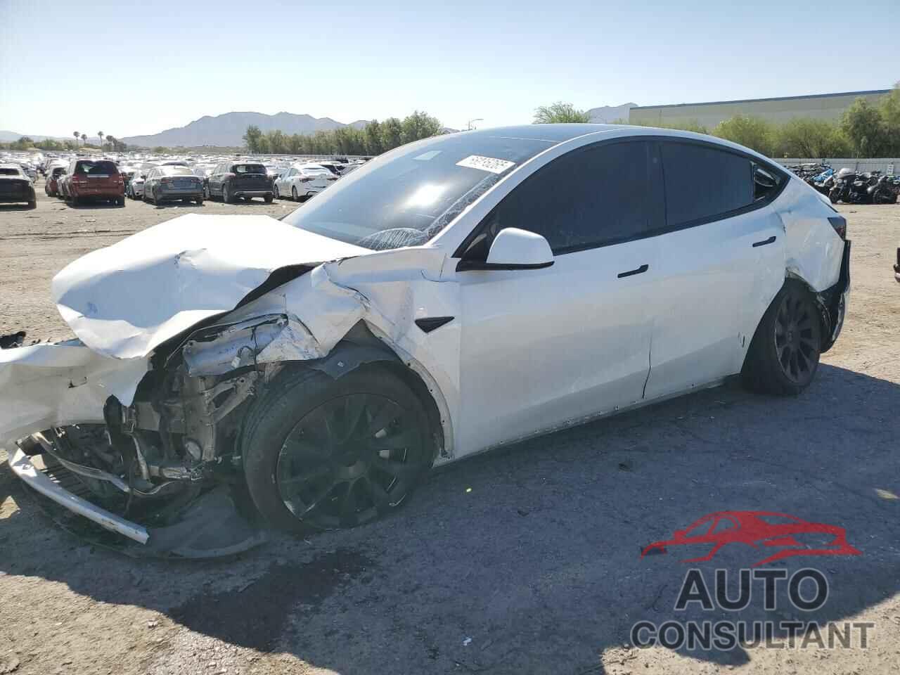 TESLA MODEL Y 2022 - 7SAYGAEE5NF314148