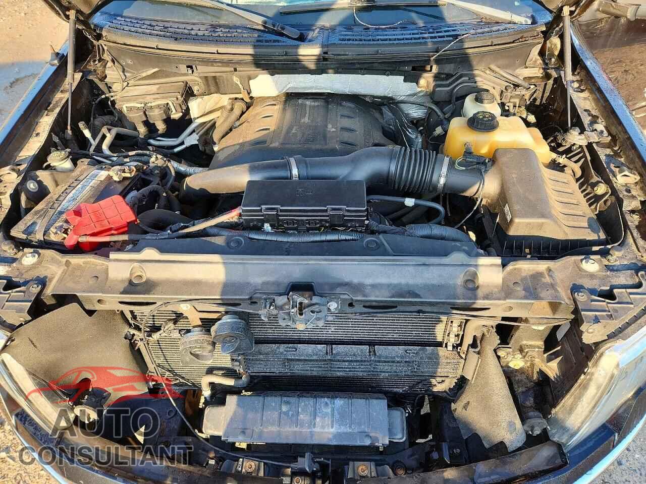 FORD F150 2013 - 1FTFW1ET5DFD02002