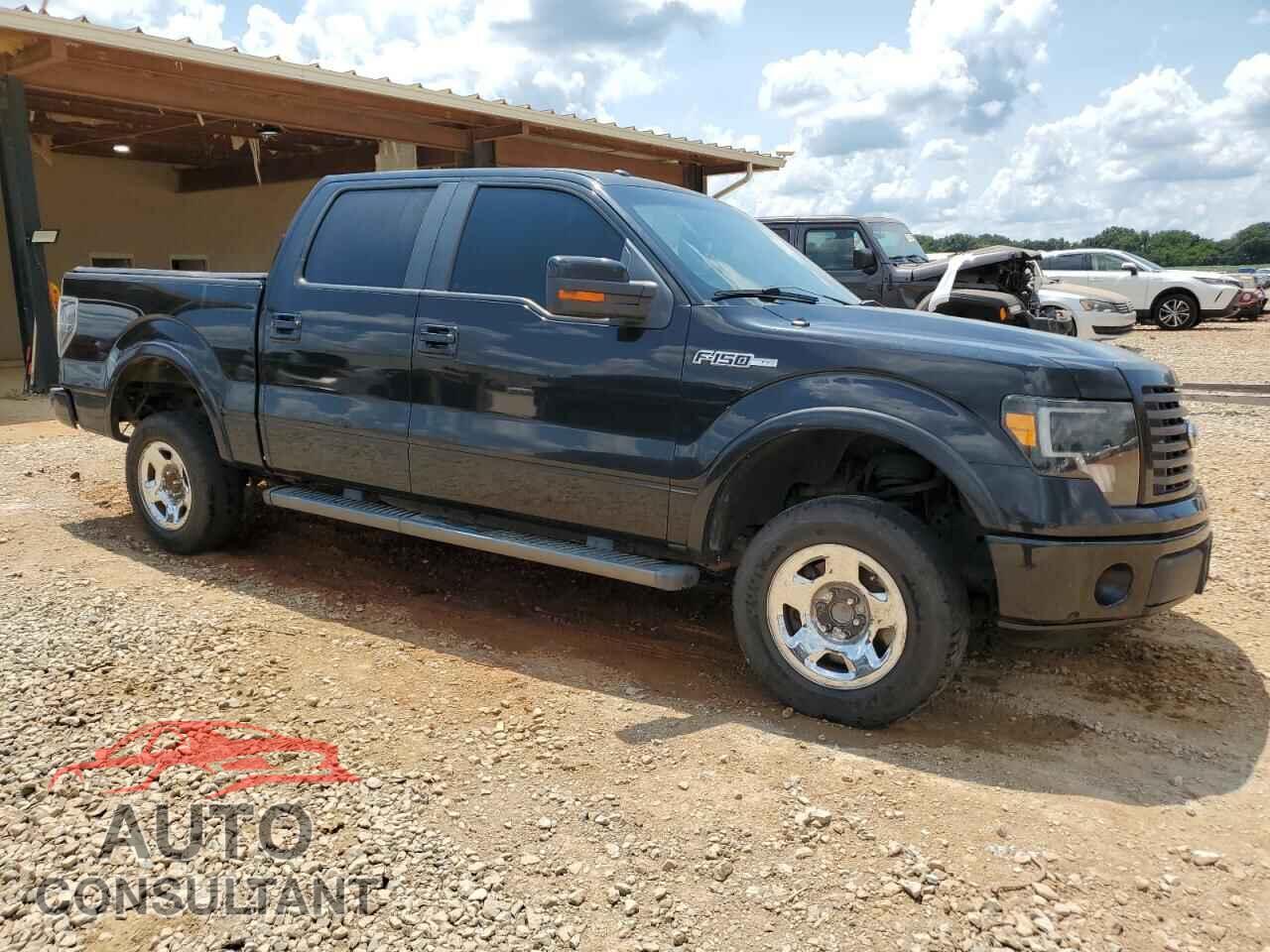 FORD F-150 2010 - 1FTEW1C85AKE07572