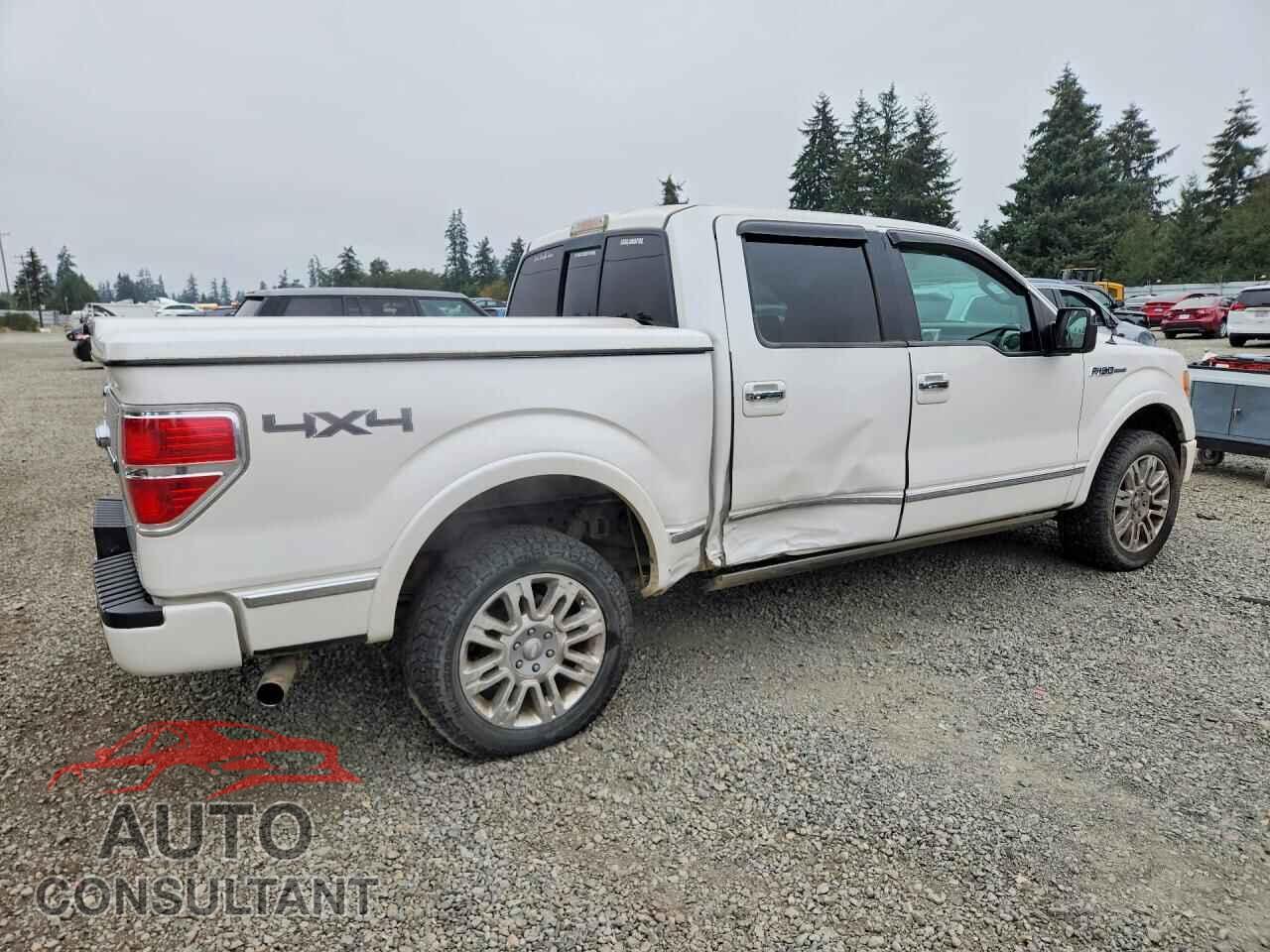 FORD F150 2010 - 1FTFW1EVXAFA38949