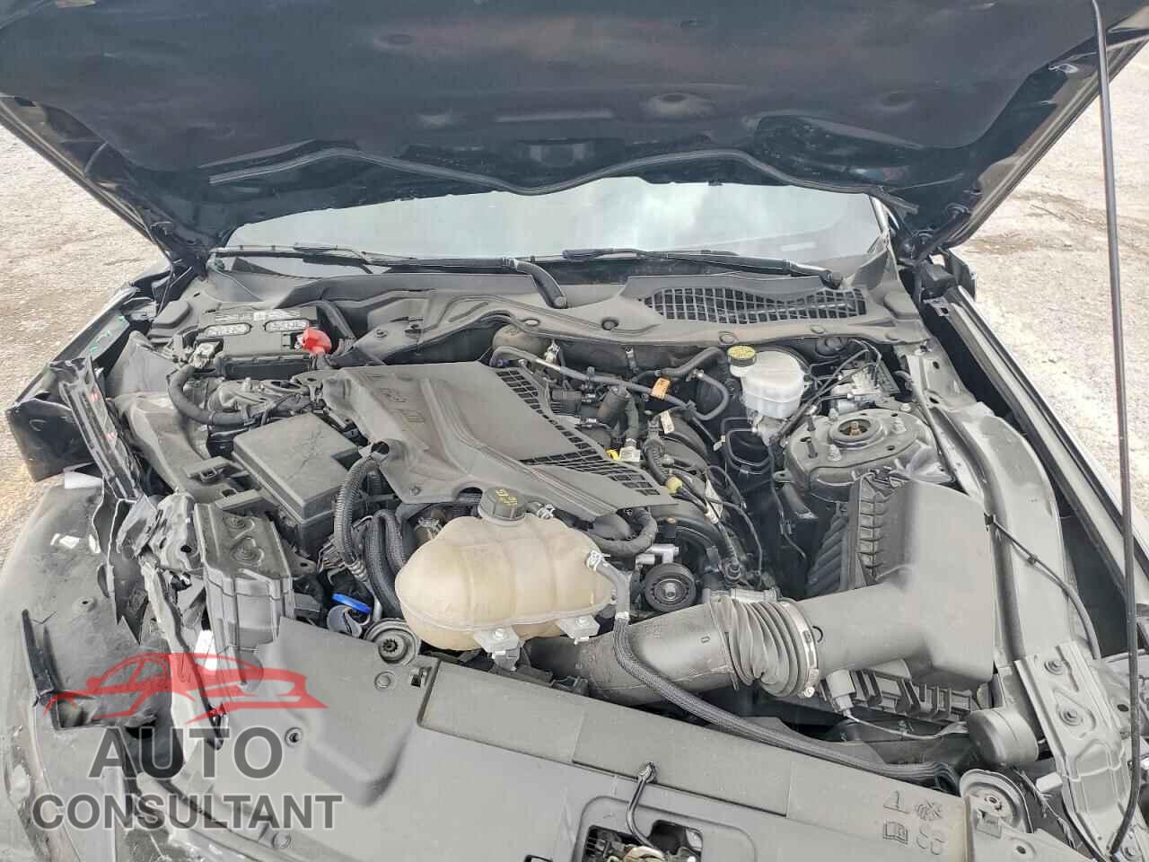 FORD MUSTANG 2023 - 1FA6P8THXP5101720