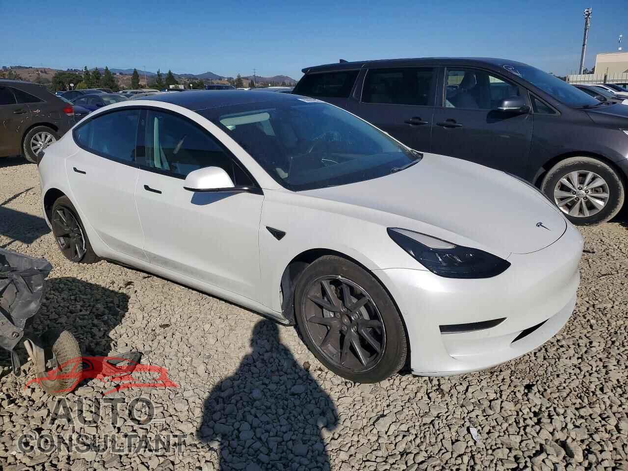 TESLA MODEL 3 2021 - 5YJ3E1EA2MF074923