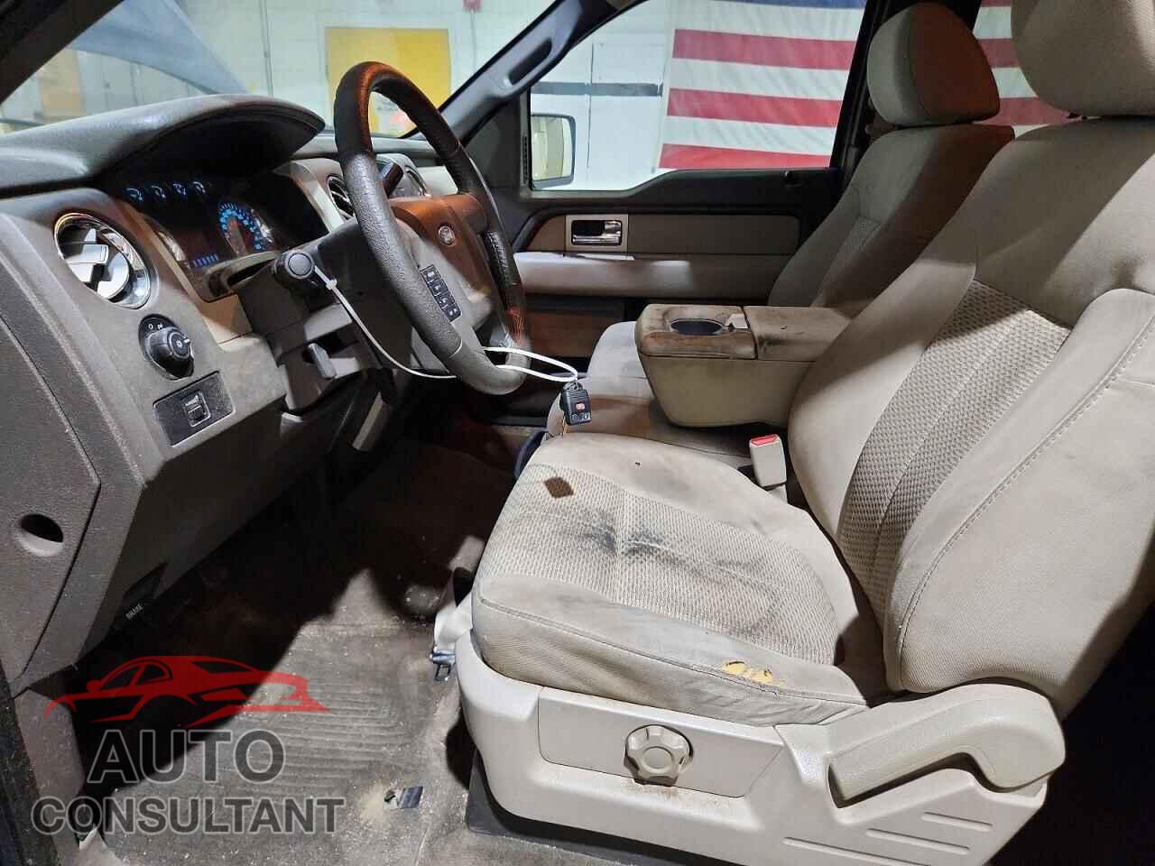 FORD F150 2010 - 1FTFX1EV3AFB65233