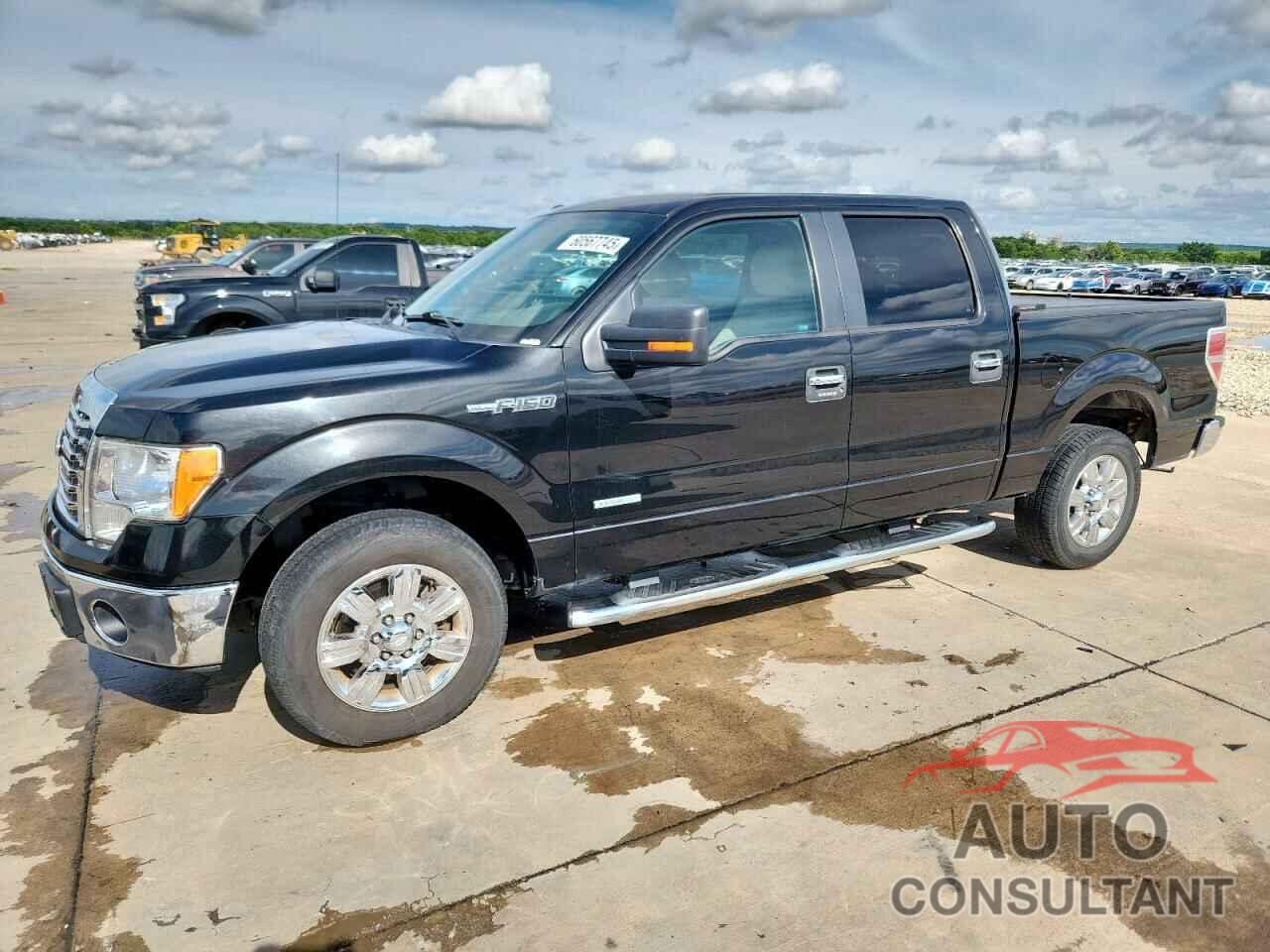 FORD F-150 2012 - 1FTFW1CT6CFA42470