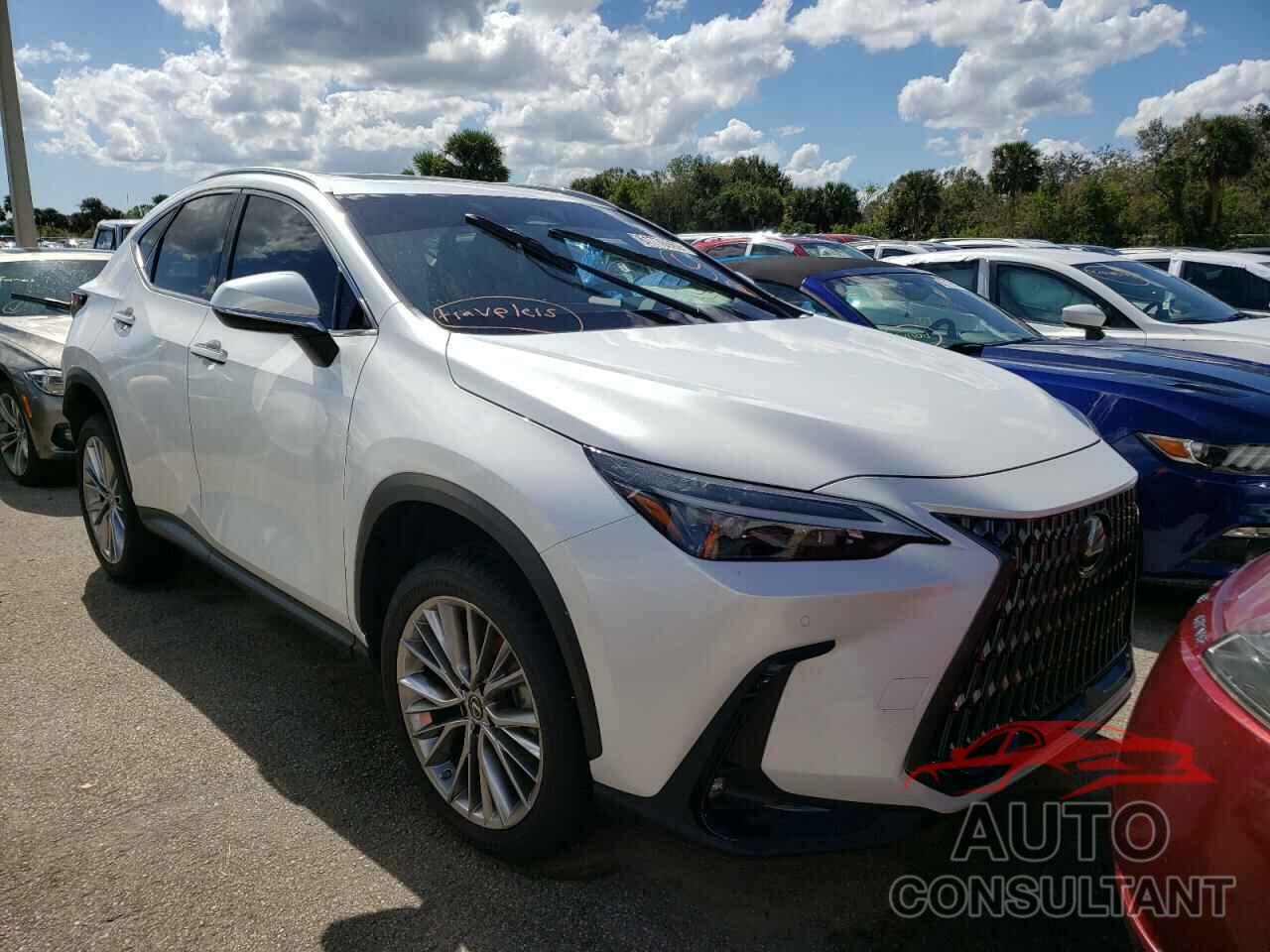 LEXUS NX 350 2022 - JTJGGCEZ7N5003326