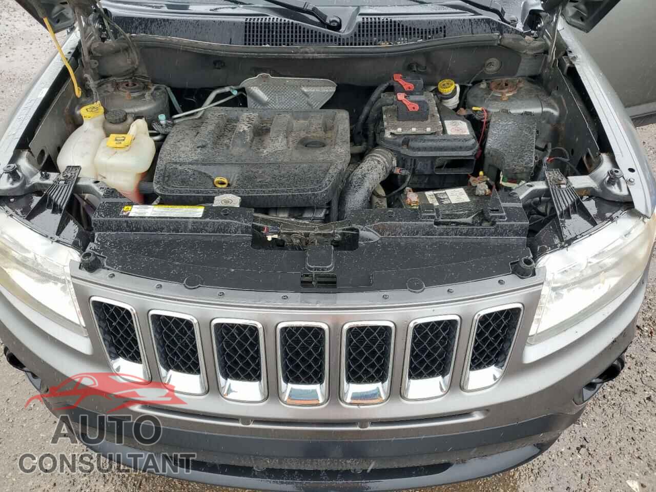 JEEP COMPASS 2011 - 1J4NF4FBXBD266054
