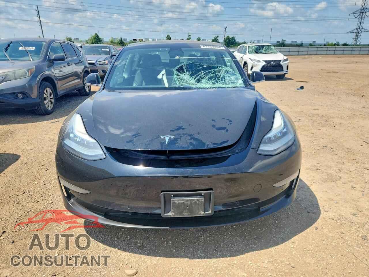 TESLA MODEL 3 2019 - 5YJ3E1EA2KF316915