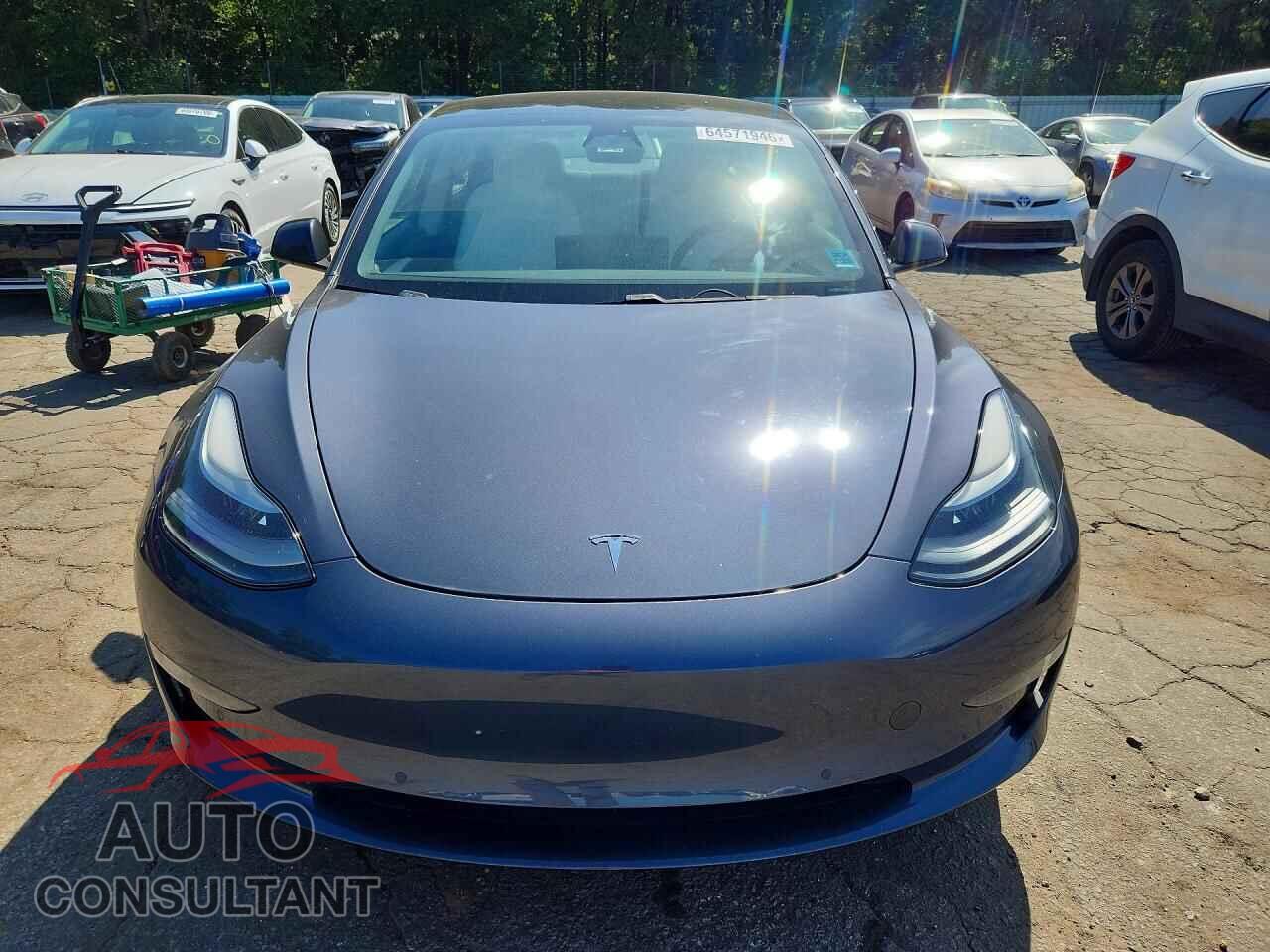 TESLA MODEL 3 2021 - 5YJ3E1EA2MF081564