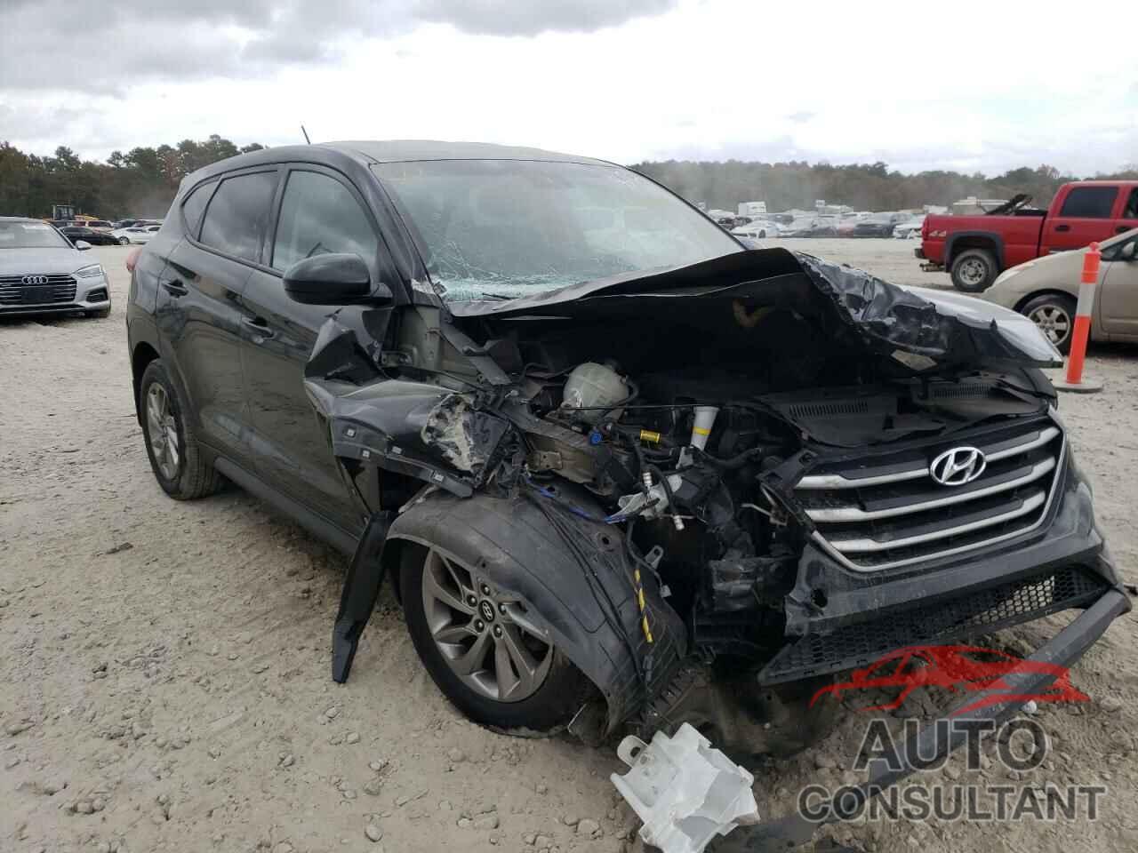 HYUNDAI TUCSON 2017 - KM8J23A43HU563612