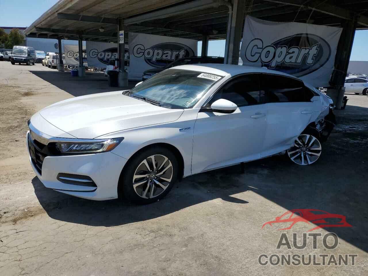 HONDA ACCORD 2019 - 1HGCV3F13KA011363