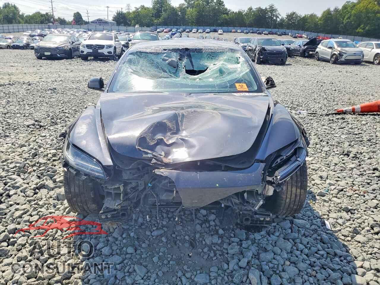 TESLA MODEL 3 2025 - 5YJ3E1EA6SF024278