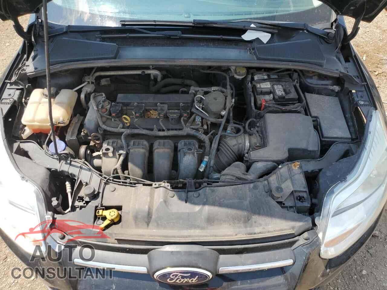 FORD FOCUS 2014 - 1FADP3F23EL253221