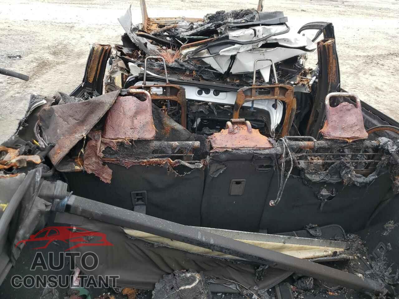 LEXUS RX350 2024 - 2T2BAMBA3RC027596