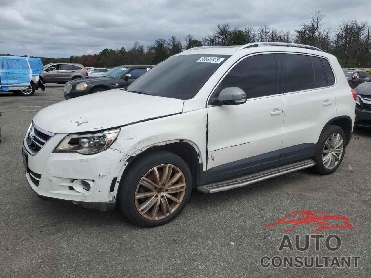 VOLKSWAGEN TIGUAN 2011 - WVGBV7AX5BW549414