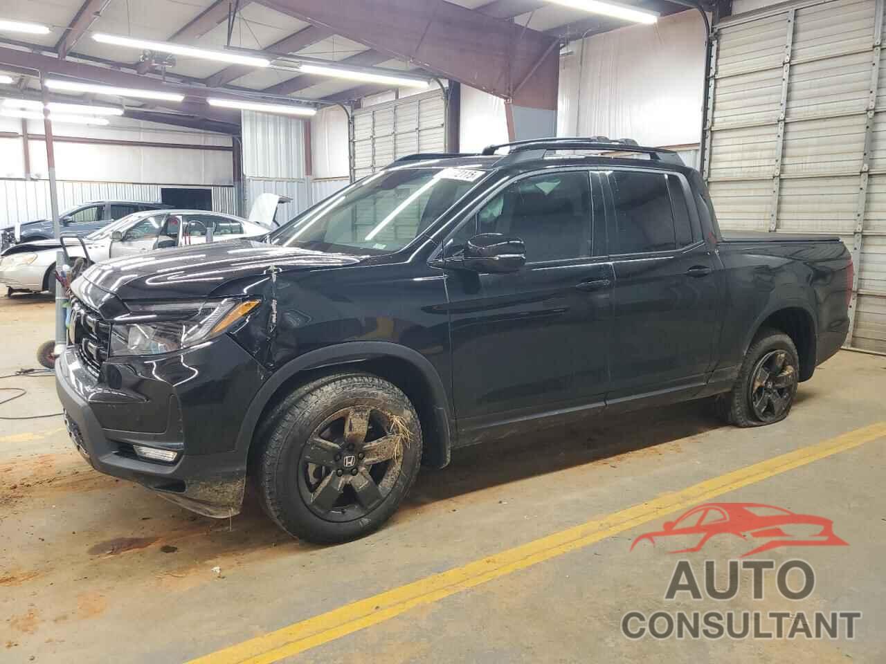 HONDA RIDGELINE 2025 - 5FPYK3F81SB037176