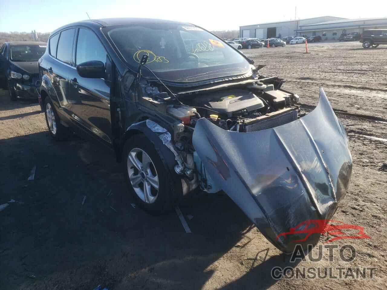 FORD ESCAPE 2016 - 1FMCU0GXXGUB97732