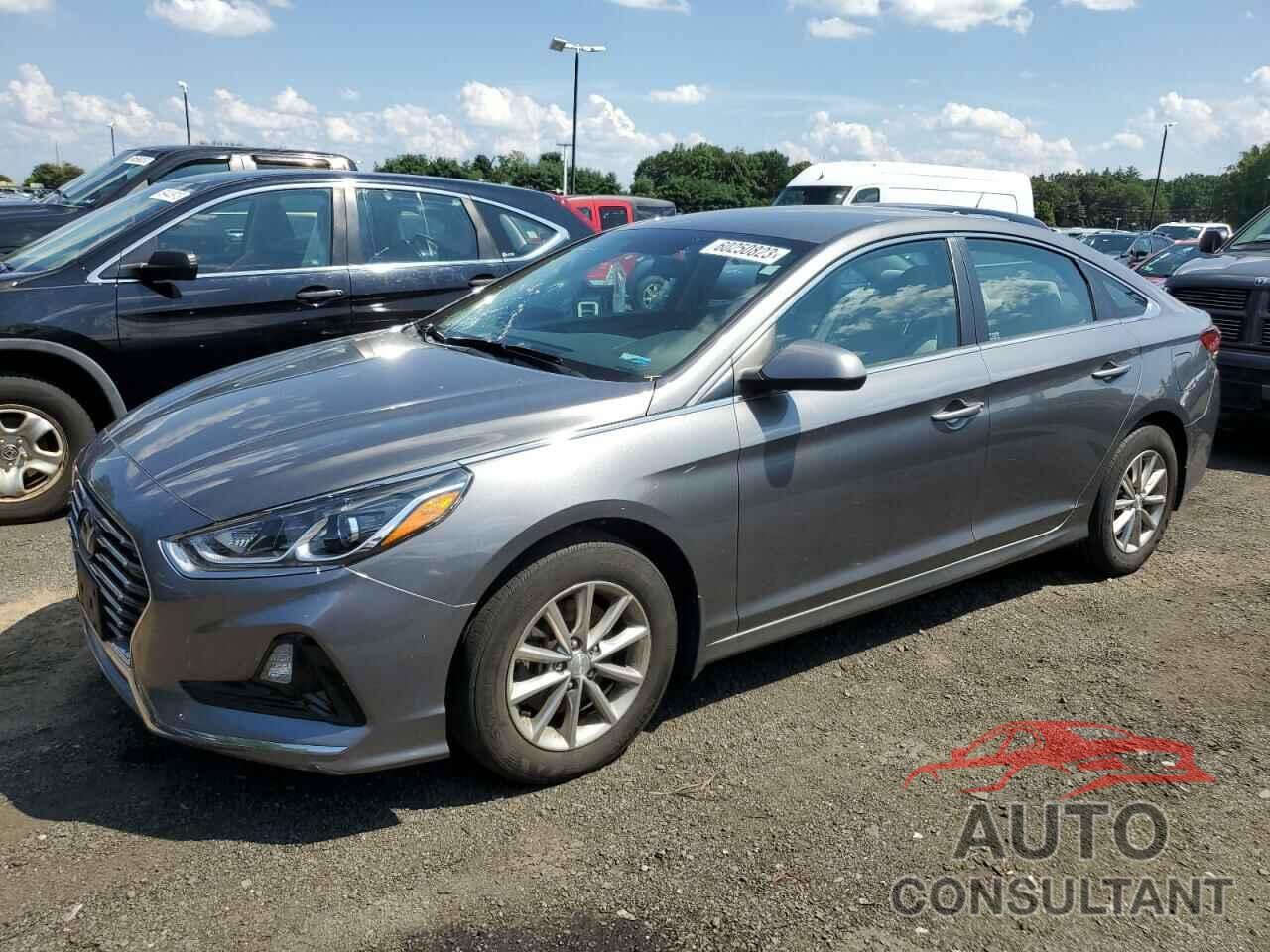 HYUNDAI SONATA 2019 - 5NPE24AF5KH799354