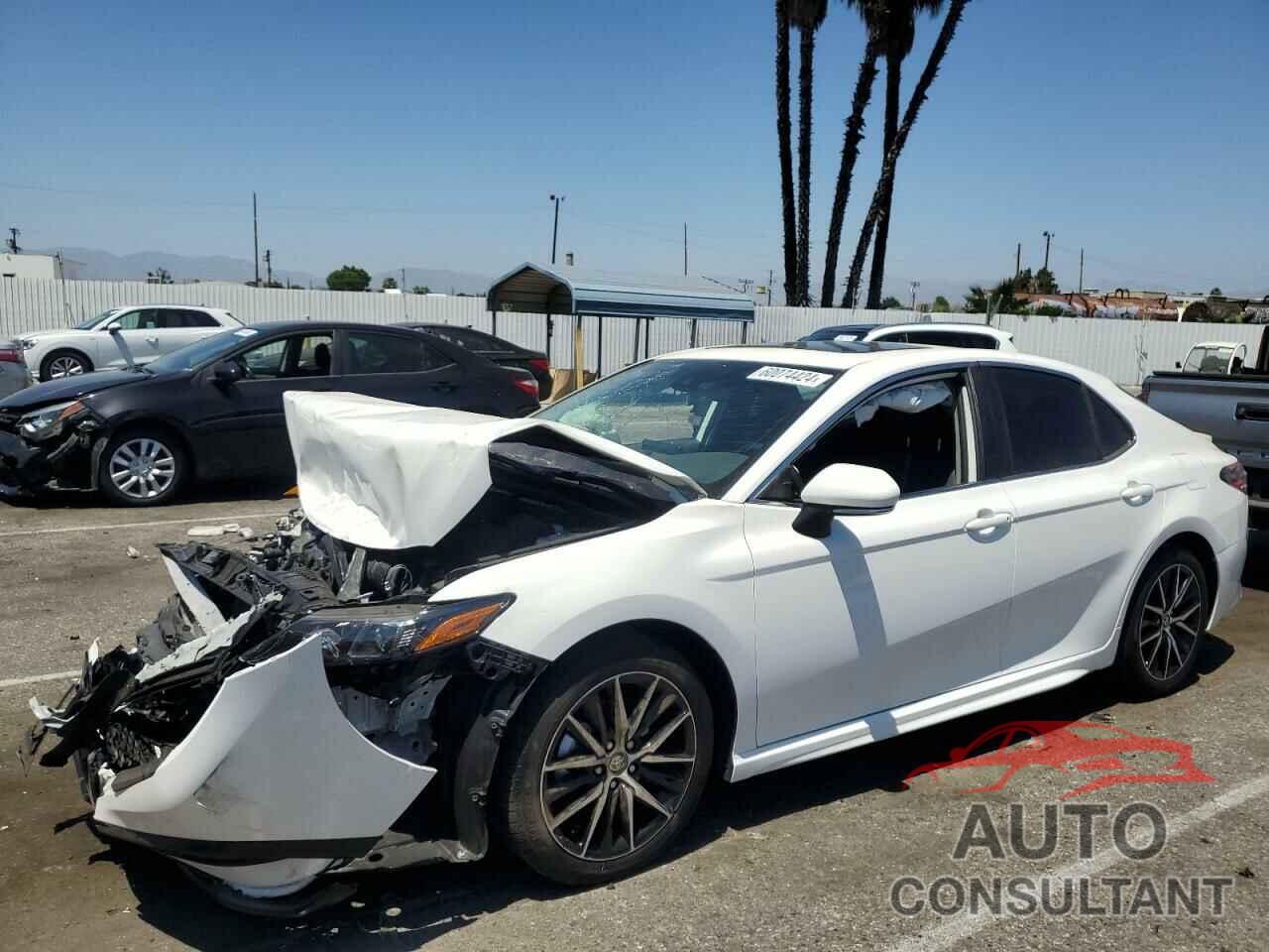 TOYOTA CAMRY 2024 - 4T1S31AK8RU062902