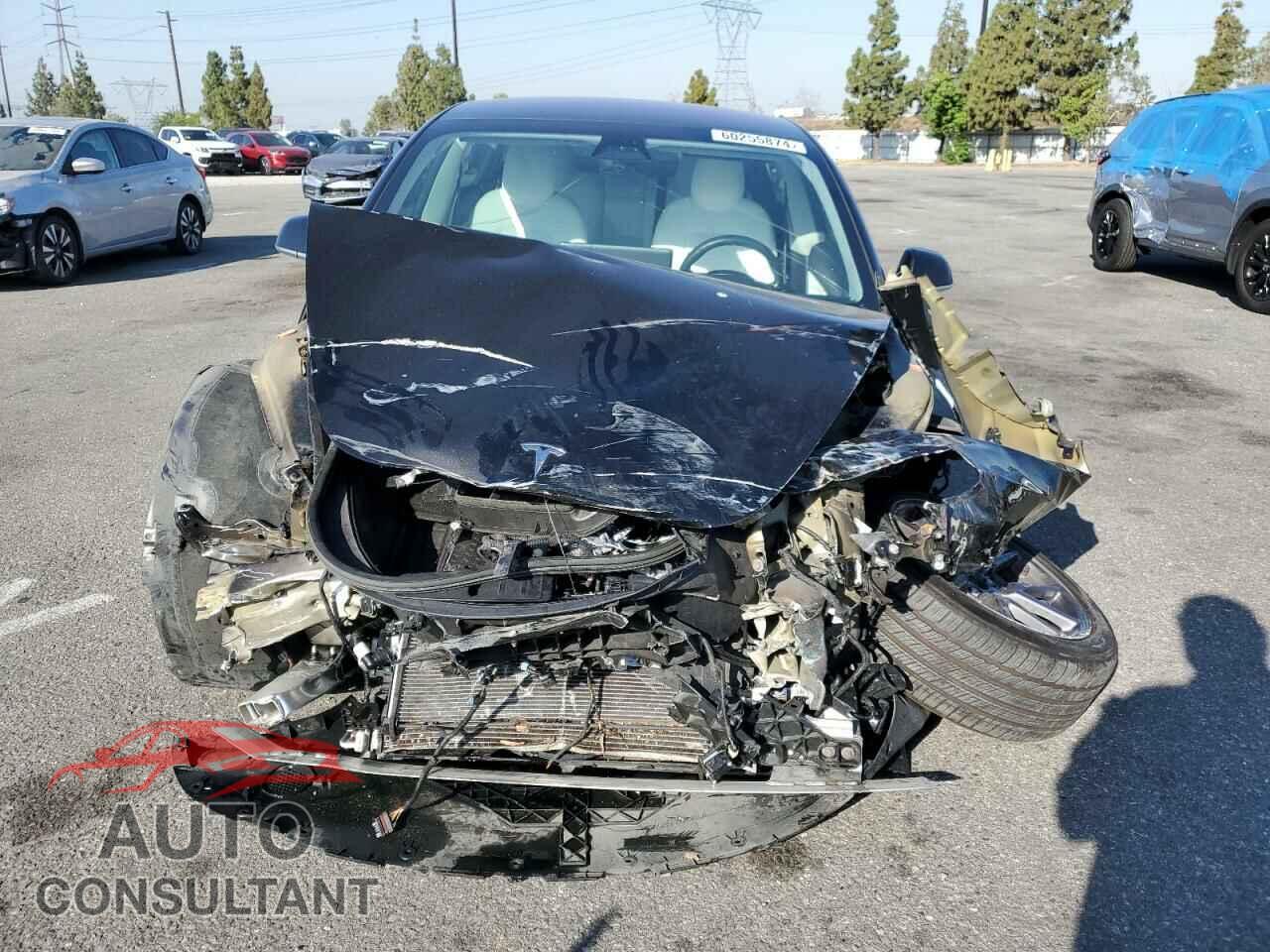 TESLA MODEL 3 2019 - 5YJ3E1EA8KF302095