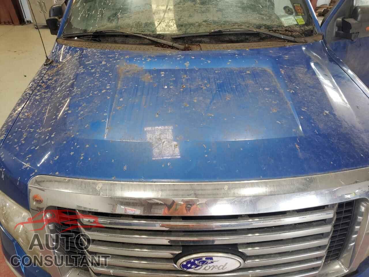 FORD F-150 2011 - 1FTFX1EF1BFA36711