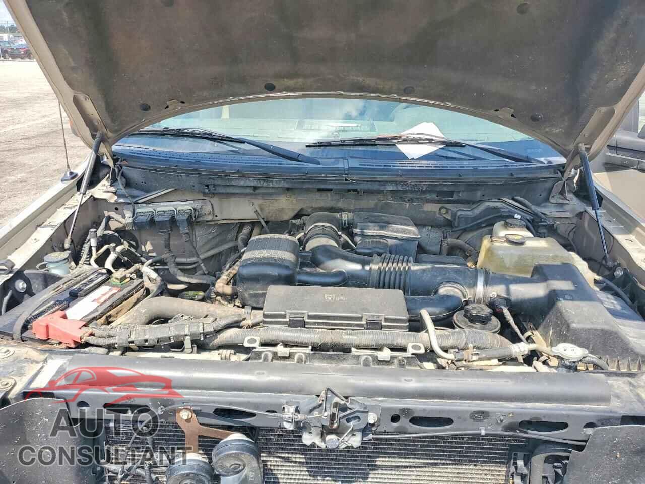 FORD F150 2010 - 1FTNF1EV3AKE36345