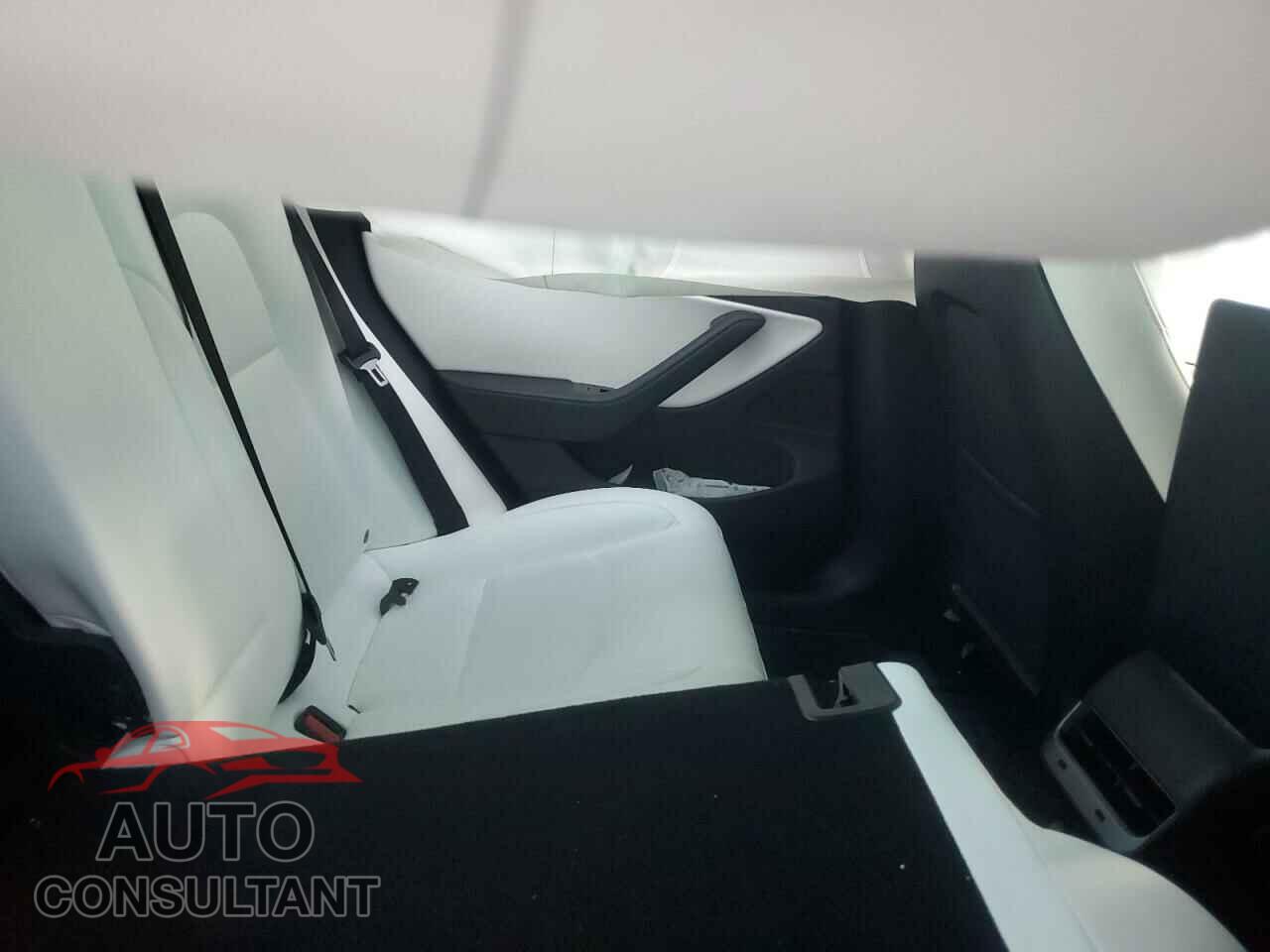 TESLA MODEL 3 2019 - 5YJ3E1EB5KF498523