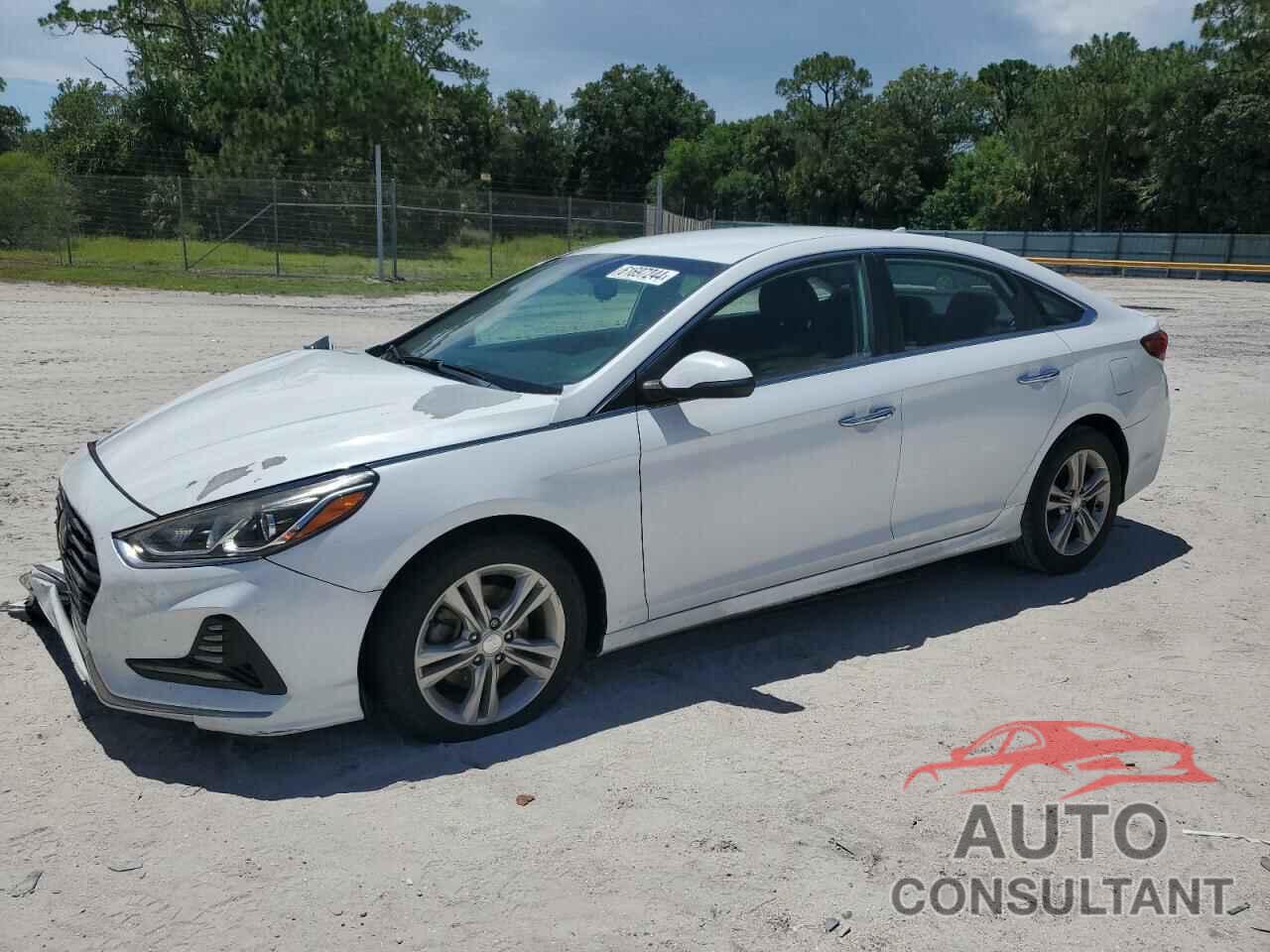 HYUNDAI SONATA 2018 - 5NPE34AF4JH641857