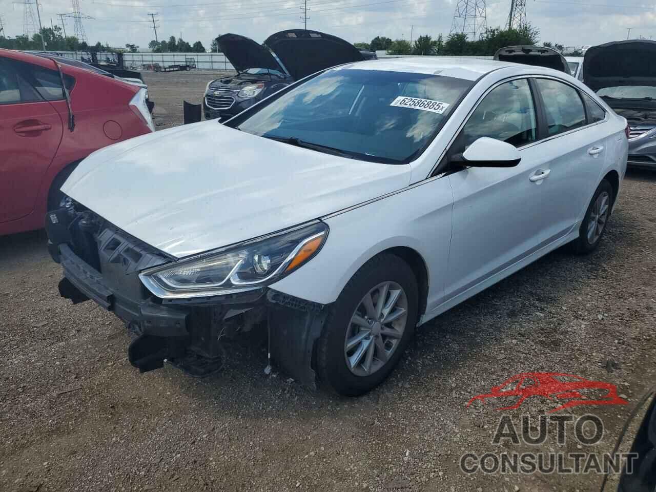 HYUNDAI SONATA 2019 - 5NPE24AF3KH745356
