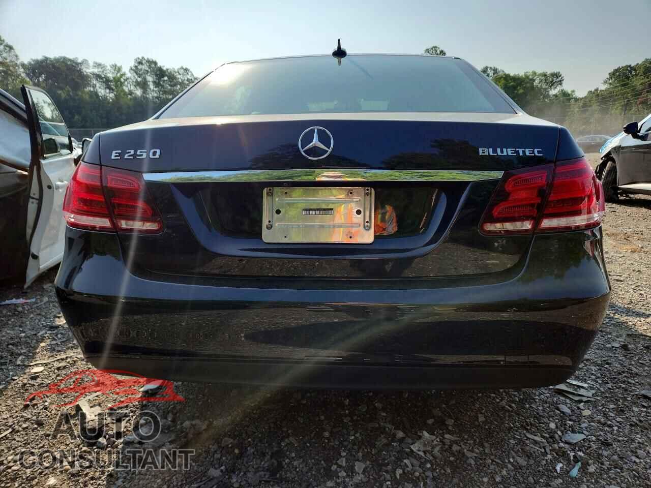 MERCEDES-BENZ E-CLASS 2014 - WDDHF9HB2EA875132