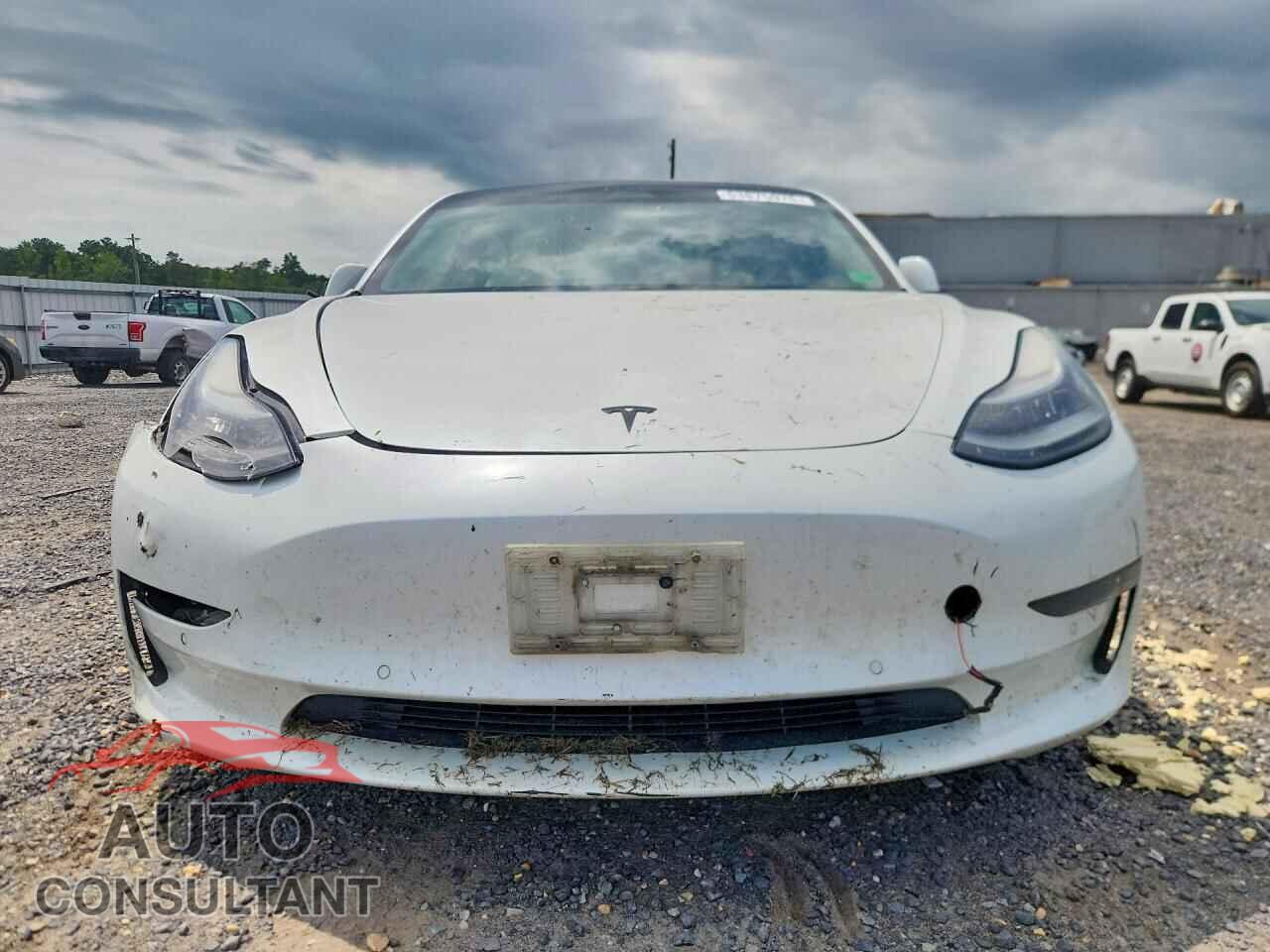 TESLA MODEL 3 2019 - 5YJ3E1EA2KF417808