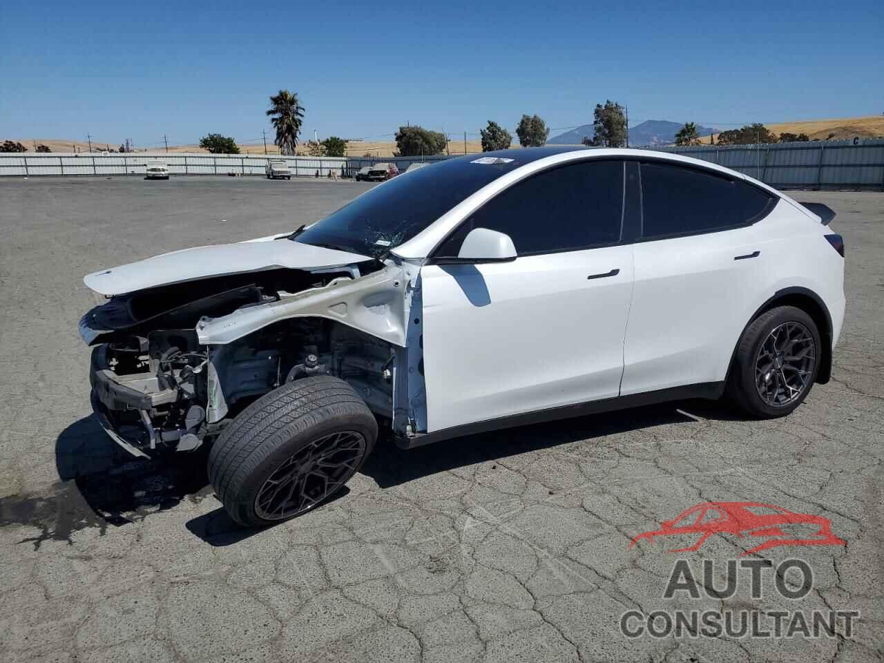 TESLA MODEL Y 2022 - 7SAYGAEE4NF345567