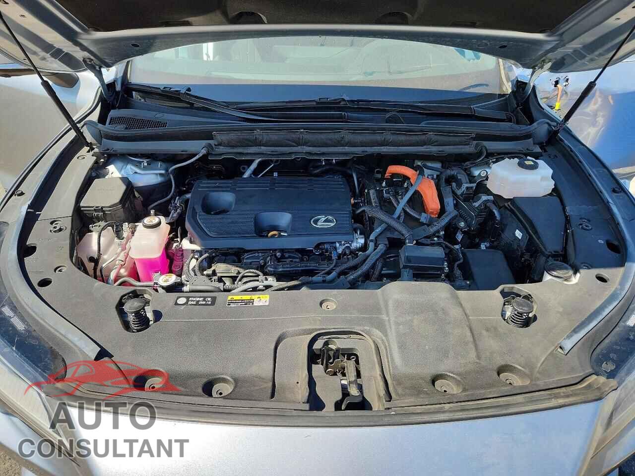 LEXUS RX350H 2024 - 2T2BBMCA7RC044669