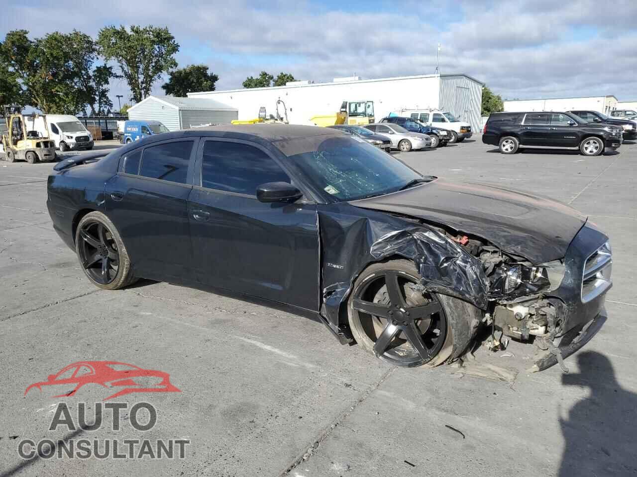DODGE CHARGER 2014 - 2C3CDXCTXEH104079