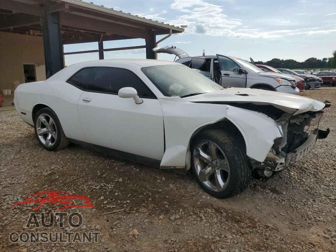 DODGE CHALLENGER 2013 - 2C3CDYAG3DH517830