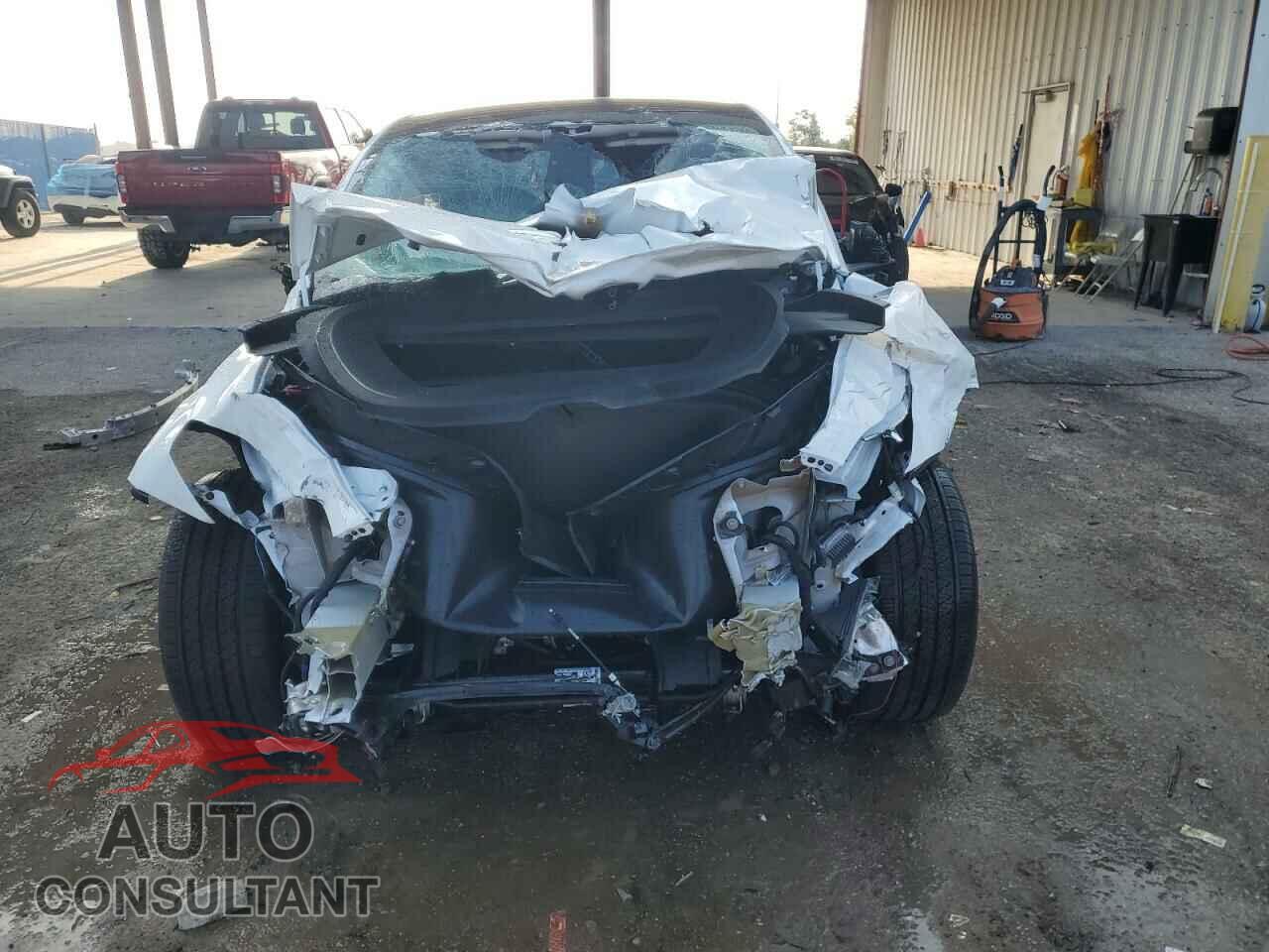TESLA MODEL Y 2024 - 7SAYGDED7RF131879