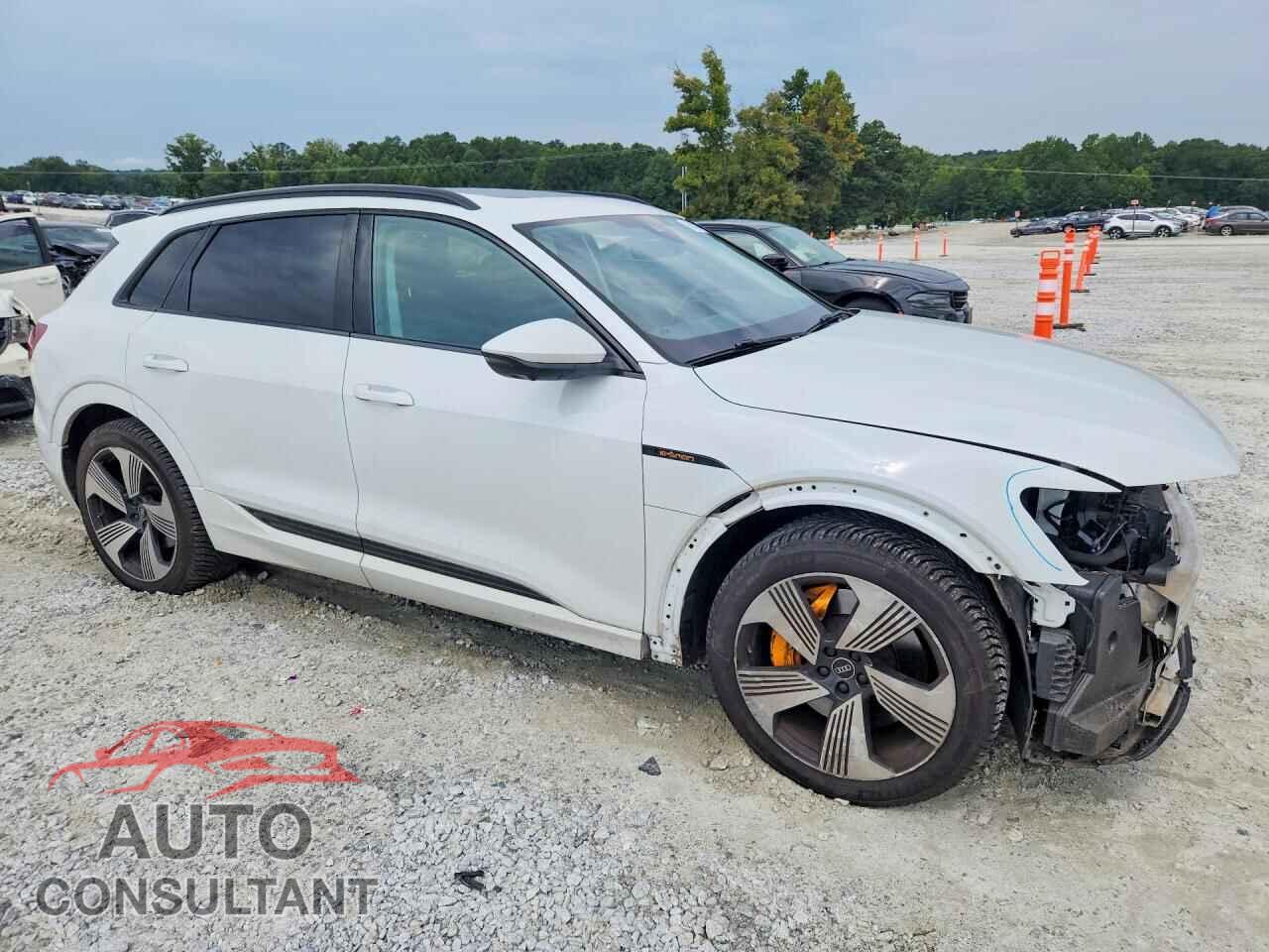AUDI E-TRON 2022 - WA1LAAGE8NB042262