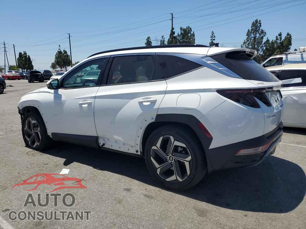 HYUNDAI TUCSON 2023 - 5NMJECAE0PH178003