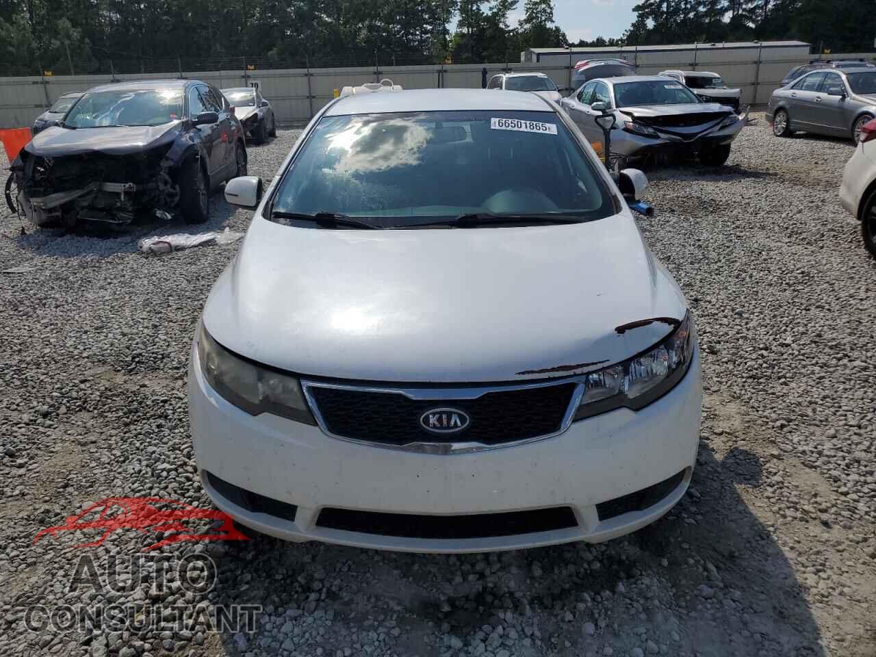 KIA FORTE 2012 - KNAFU4A23C5643470