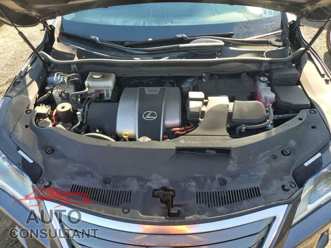 LEXUS RX450 2019 - 2T2BGMCA4KC042319