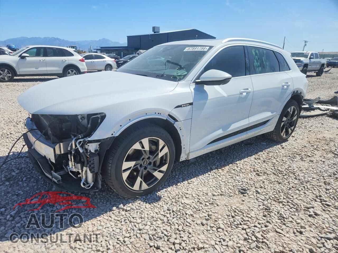AUDI E-TRON 2021 - WA1LABGE4MB011014