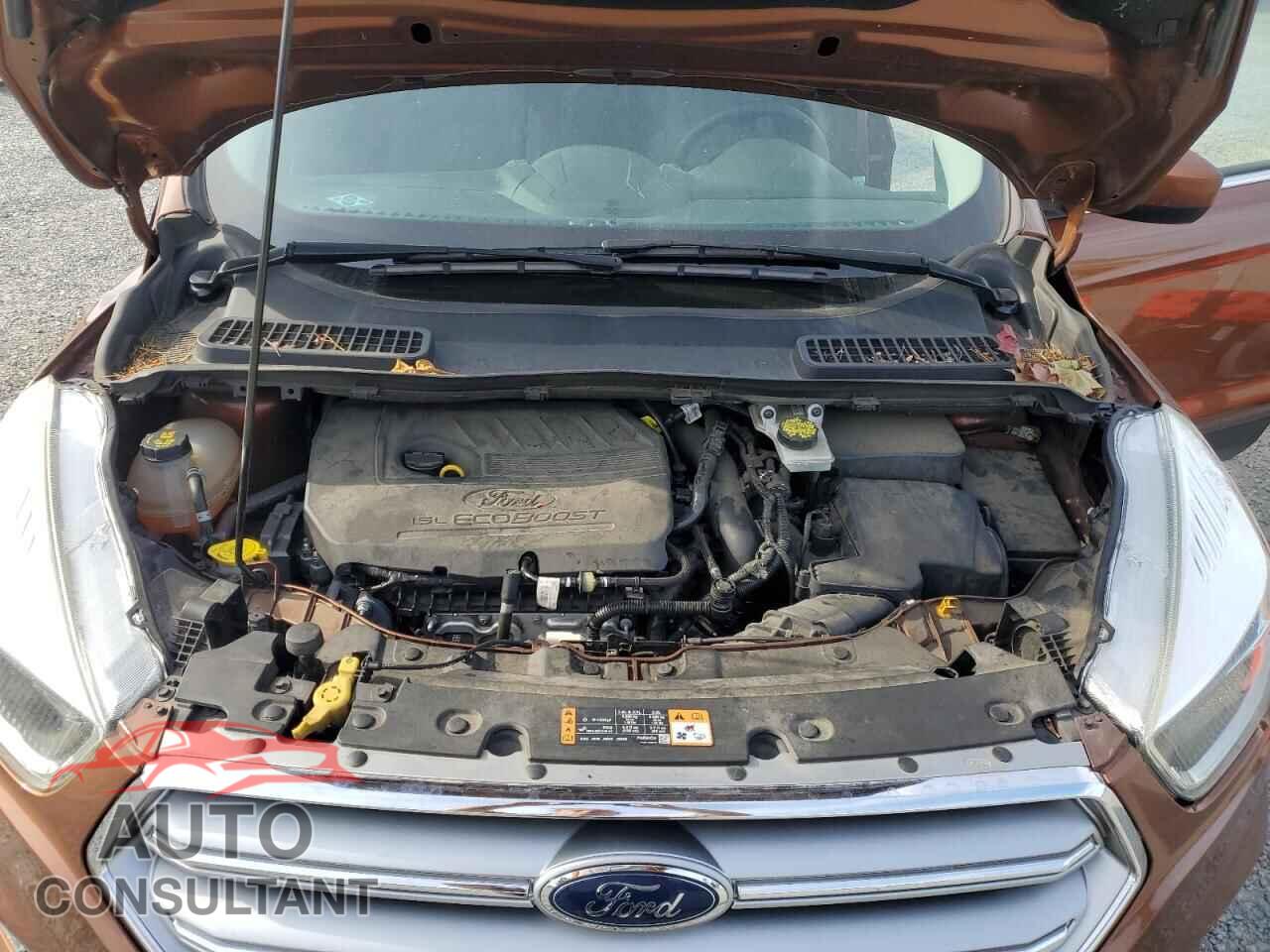 FORD ESCAPE 2017 - 1FMCU9GD9HUE10049