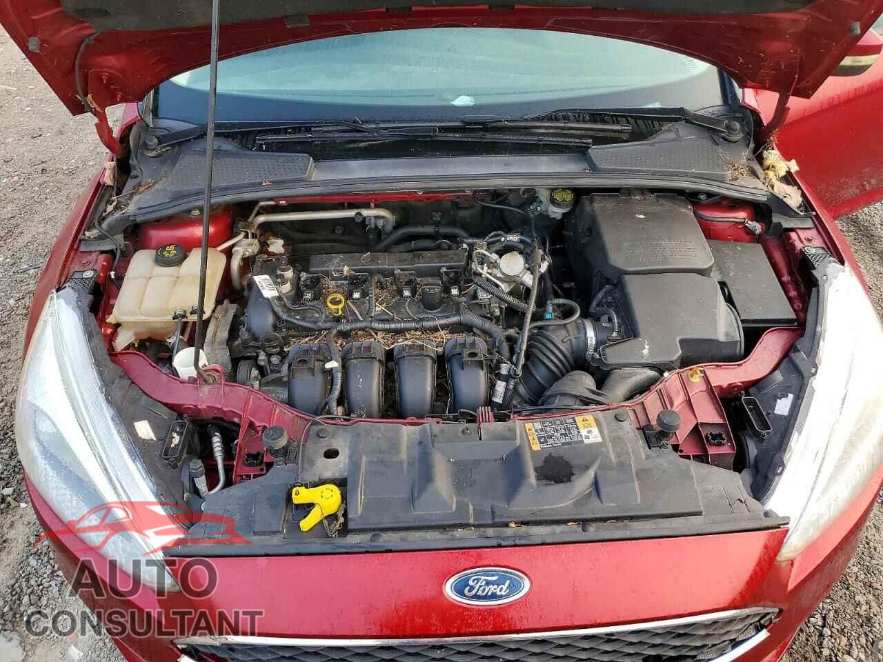 FORD FOCUS 2016 - 1FADP3F26GL351663