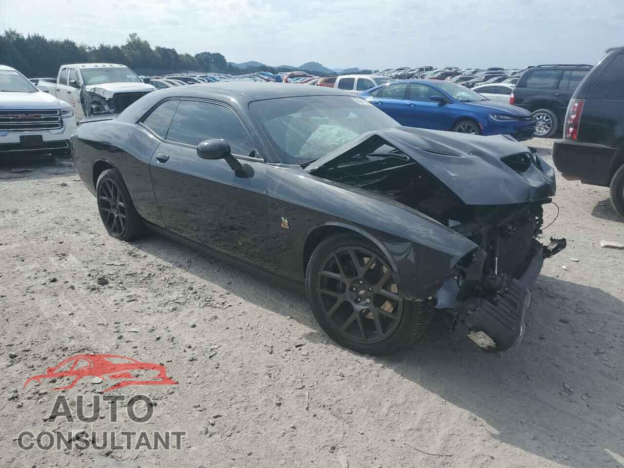 DODGE CHALLENGER 2019 - 2C3CDZFJ2KH719274