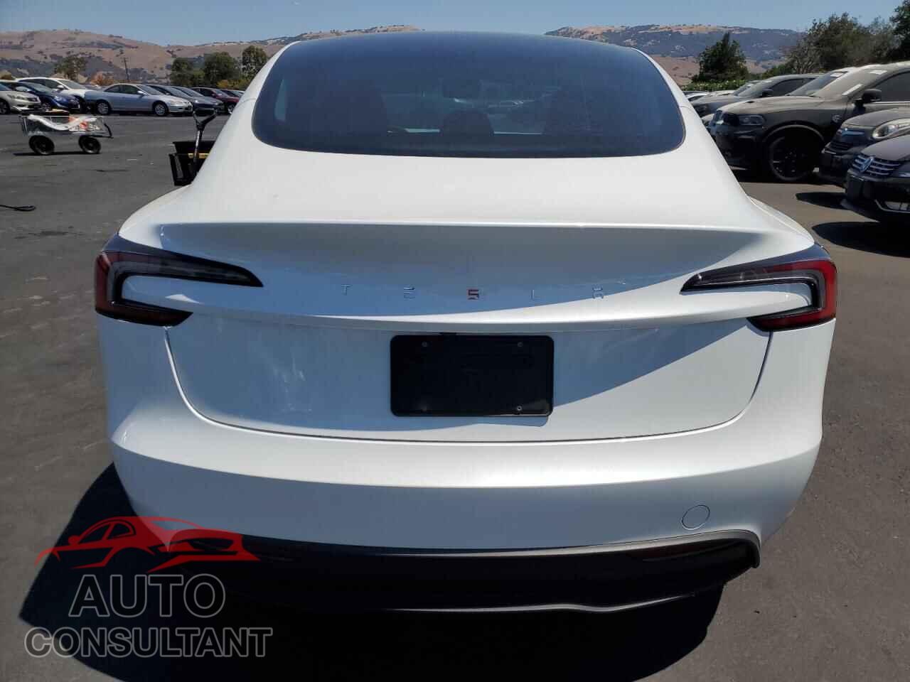 TESLA MODEL 3 2024 - 5YJ3E1EA4RF857698