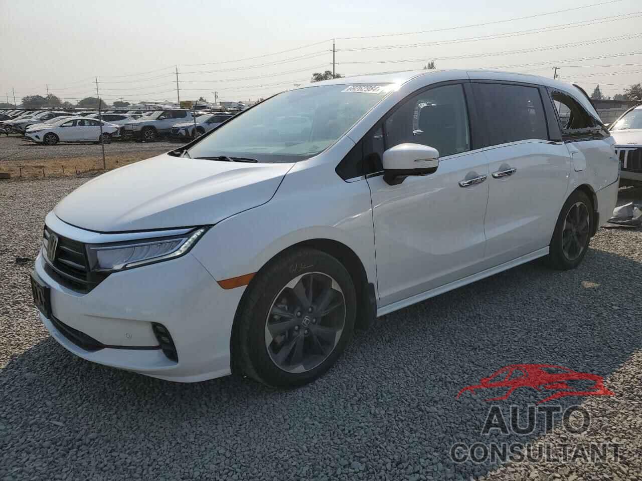 HONDA ODYSSEY 2021 - 5FNRL6H95MB002435