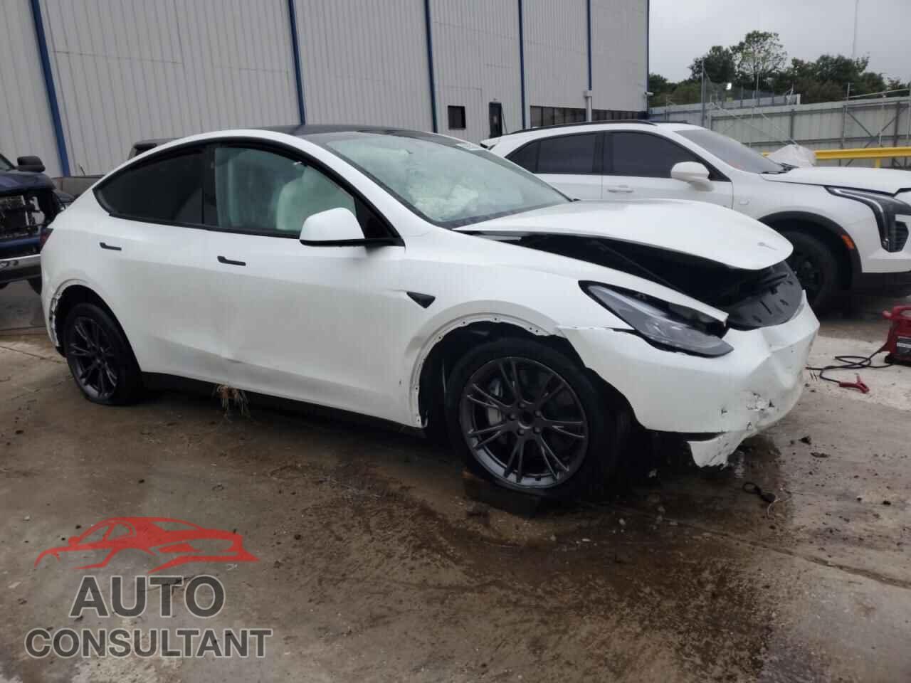 TESLA MODEL Y 2024 - 7SAYGDED5RF200049